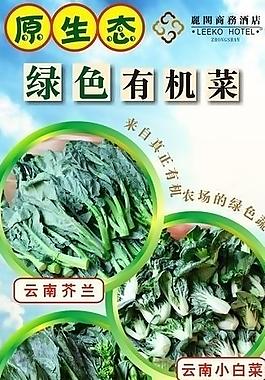 新品推出展架图片