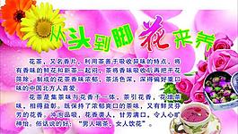 花茶图片