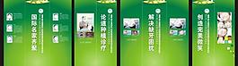 口腔科物料图片