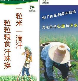 惜粮图片