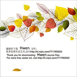 唯美树叶