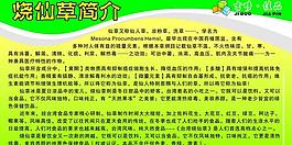 烧仙草简介图片