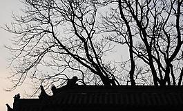 屋顶剪影图片