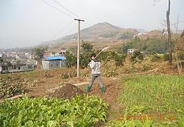 大池山农村风光剪影图片