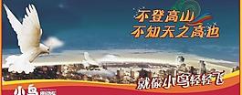 小鸟电动车室内挂图图片