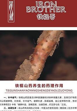 山药展架图片