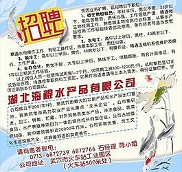 招聘海报图片