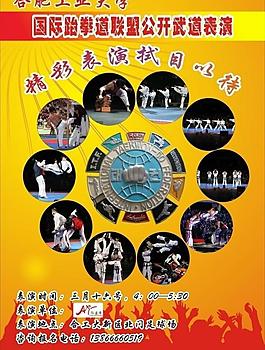 跆拳道表演海报图片
