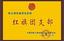 红旗团支部奖牌图片