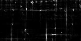 转场视频光效 星光图片