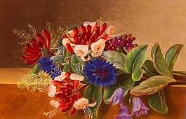 油画 金银花与蓝色矢车菊图片