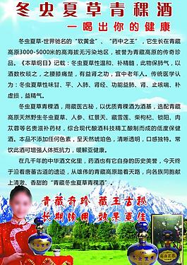 冬虫夏草酒图片