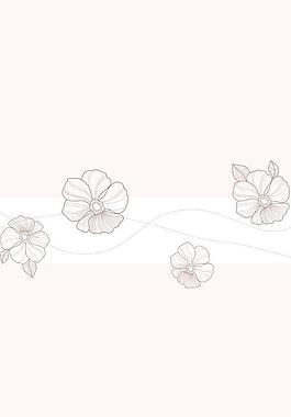 花韵飘香图片