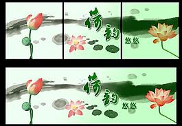 荷韵 荷韵悠悠图片