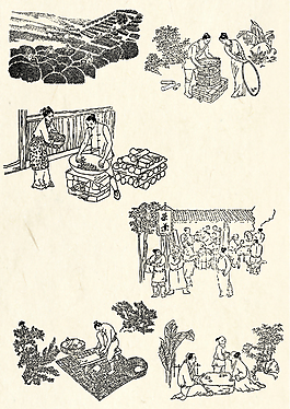 古代制茶工艺线描矢量素材