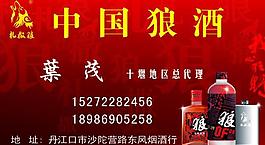 中国狼酒图片