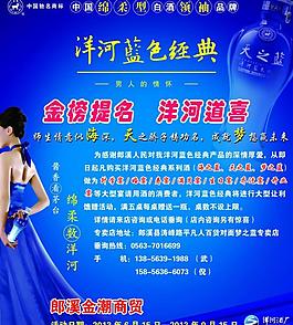 洋河经典酒彩页图片