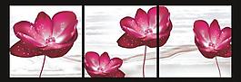 无框画 花朵图片