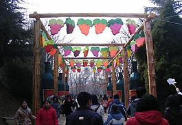 张裕葡萄酒图片