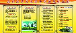 新农村改革发展综合方案图片