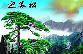 迎客松图片