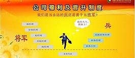 晋升制度图片