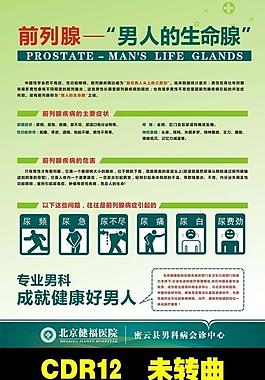 前列腺常识图片