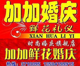 加加婚庆图片