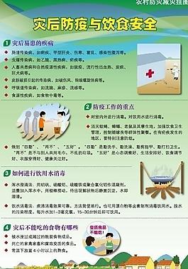灾后防疫与饮食安全图片