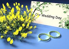 婚庆戒指背景视频素材图片