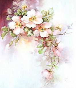 手绘花卉图片