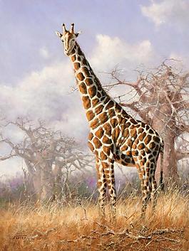 油画长颈鹿图片