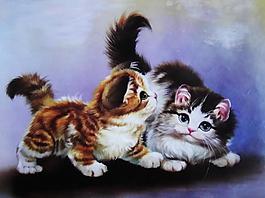 小猫图片