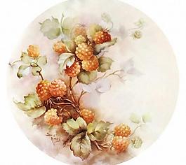 手绘植物图片