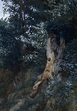 Jimenez Aranda, Jose - Old Tree Trunk, 1885大师画家古典画古典建筑古典景物装饰画油画