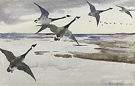 Frank Weston Benson - Canadian Geese, 1895大师画家风景画静物油画建筑油画装饰画