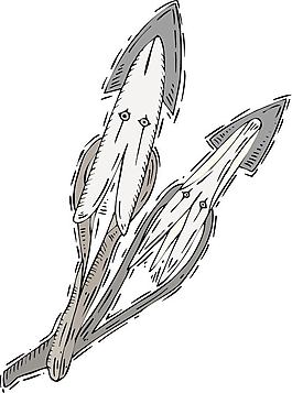 章鱼