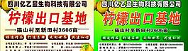 柠檬基地图片