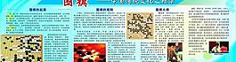 围棋文化900图片