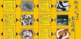 鲶鱼食疗价值图片