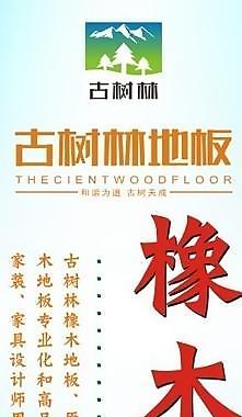 古树林 海报 实木地板 橡木王国图片