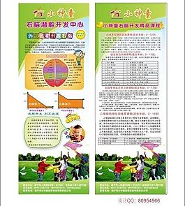 右脑开发展架图片