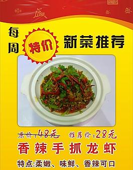 新菜推荐图片