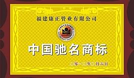 中国驰名商标 铜牌图片