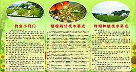 栽培技术要点图片
