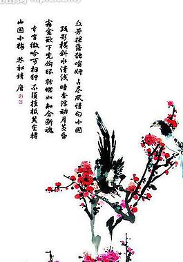 国画梅花图片