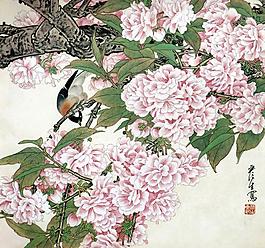 花间图片