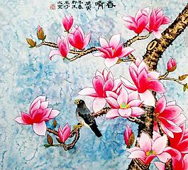 春晴图片