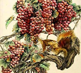 松鼠葡萄图图片