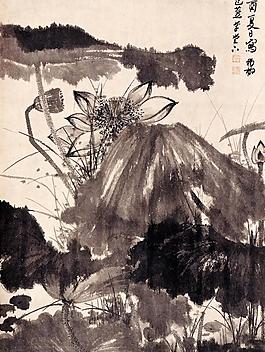 墨荷图片